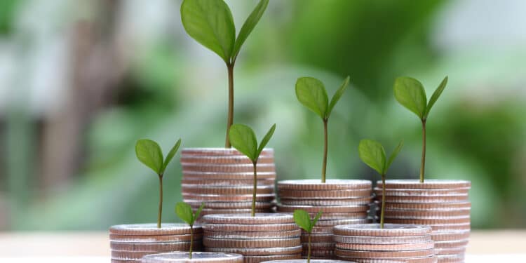 Westlake Financial to Double Single-B Issuance by Yearend, CFO Says