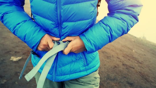 Buckling Up for the Evolution of Car Ownership