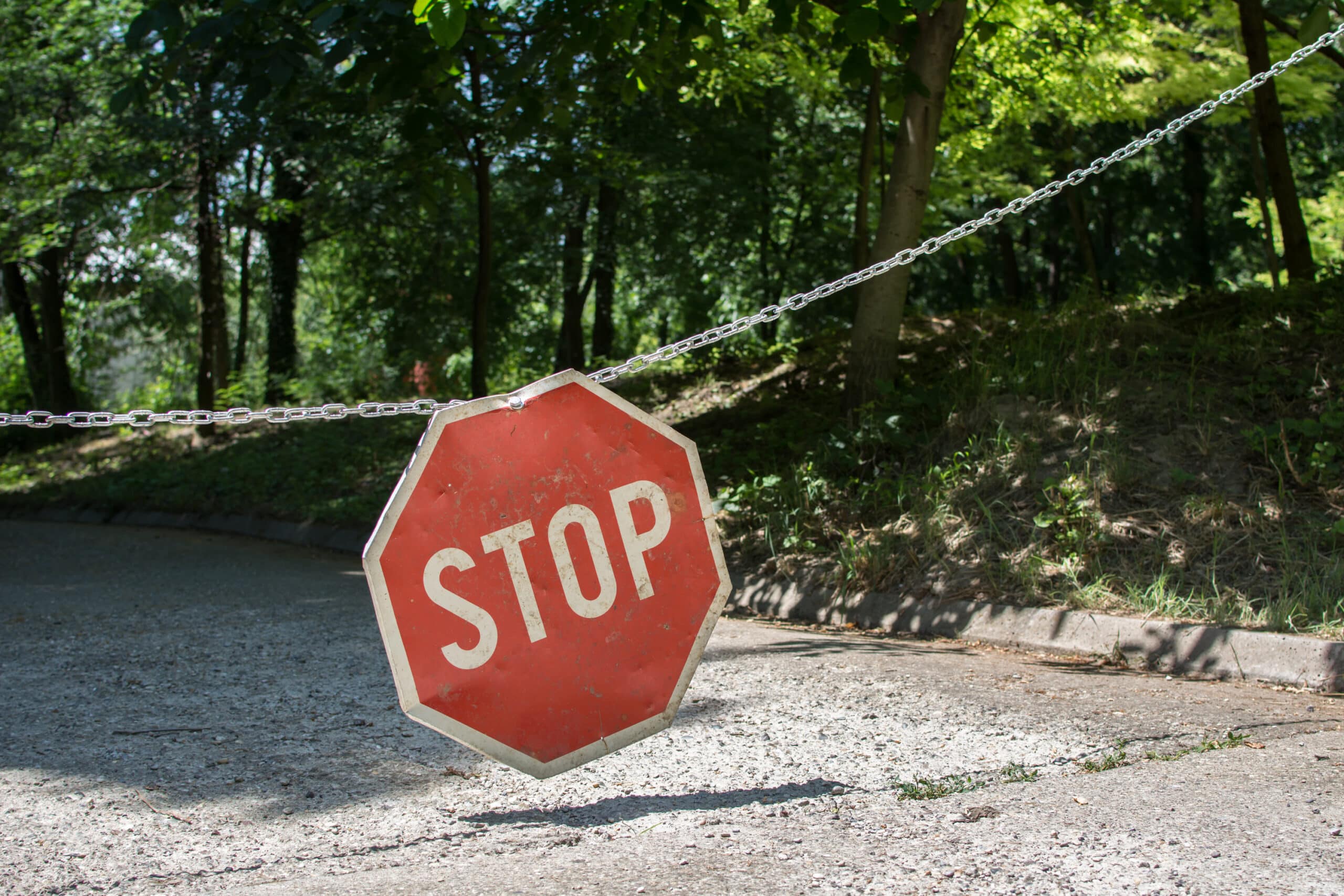 © Can Stock Photo / pasicevo