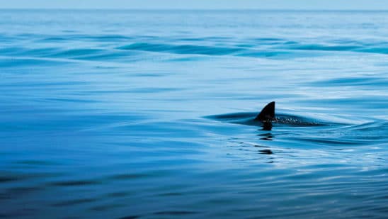Beneath the surface: The lurking cybersecurity threat