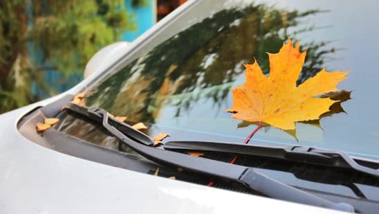 car with maple leaf