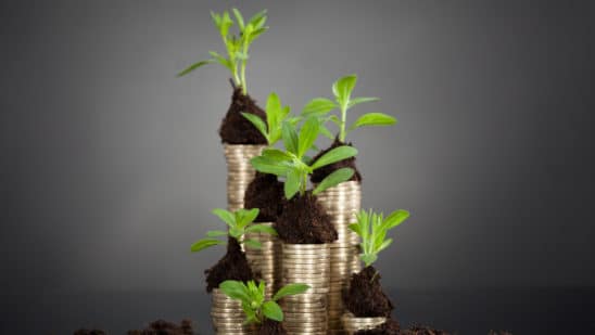Behind the scenes of a startup incubator