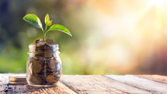 funding concept image coins in jar with leaf growing