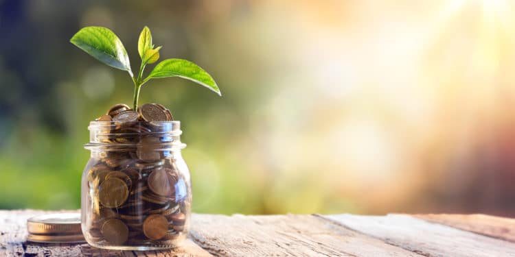 funding concept image coins in jar with leaf growing