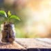 funding concept image coins in jar with leaf growing