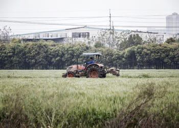 A farmer drives a tractor along a track through a rice field on the outskirts of Shanghai, China, on Monday, April 17, 2017. China lost 6.2 percent of its farmland between 1997 and 2008, according to a report by the United Nations' Food and Agriculture Organization and the OECD. And local governments continue to swallow fields for more-profitable real-estate developments. Photographer: Qilai Shen/Bloomberg