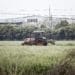 A farmer drives a tractor along a track through a rice field on the outskirts of Shanghai, China, on Monday, April 17, 2017. China lost 6.2 percent of its farmland between 1997 and 2008, according to a report by the United Nations' Food and Agriculture Organization and the OECD. And local governments continue to swallow fields for more-profitable real-estate developments. Photographer: Qilai Shen/Bloomberg