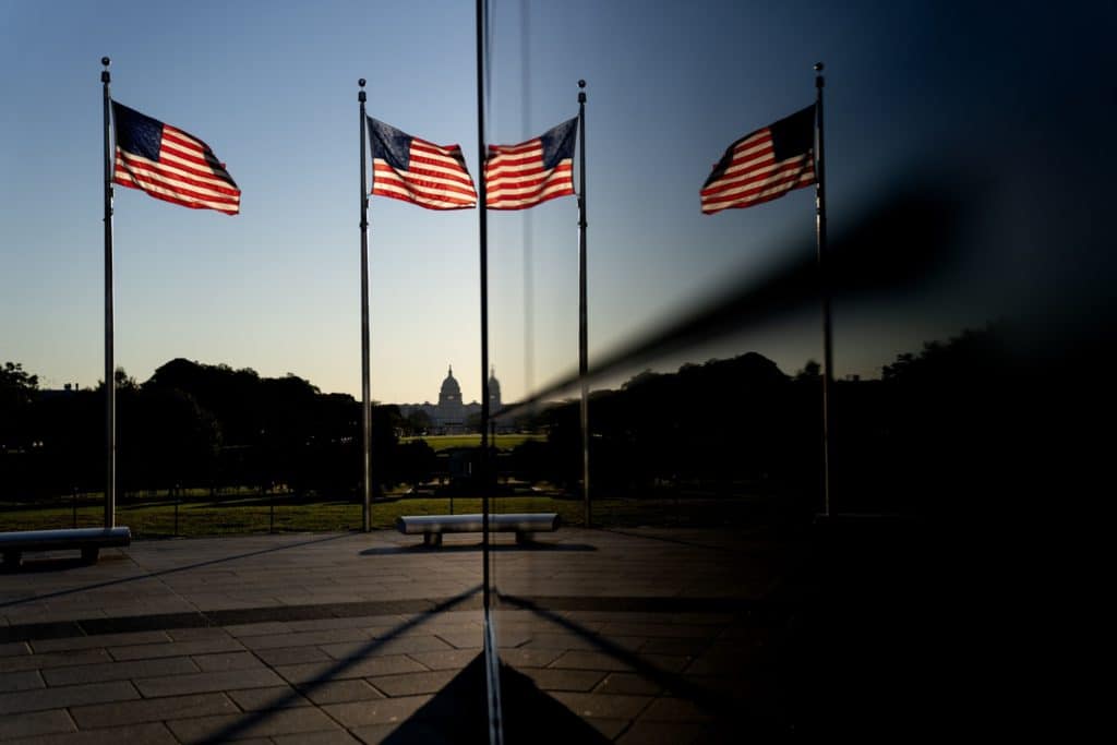 American flags in front of the U.S. Capitol in Washington, D.C., U.S. 