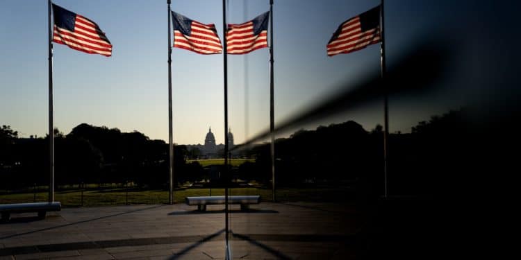 American flags in front of the U.S. Capitol in Washington, D.C., U.S.