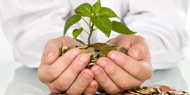 Auto lenders look to bolster financial literacy