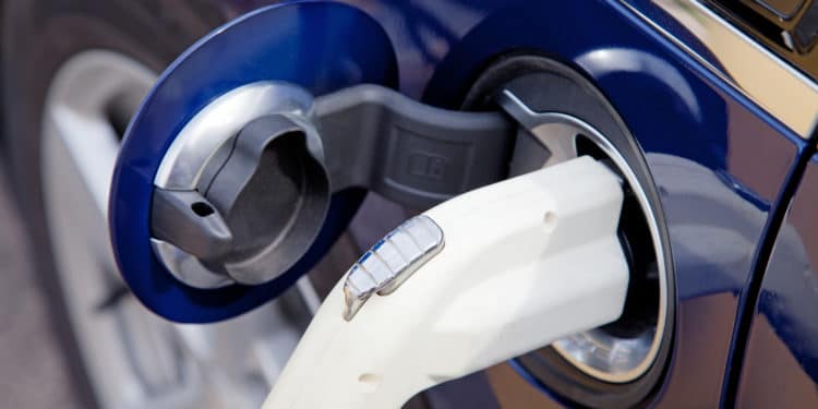 EV pre-orders pick up as production tightens