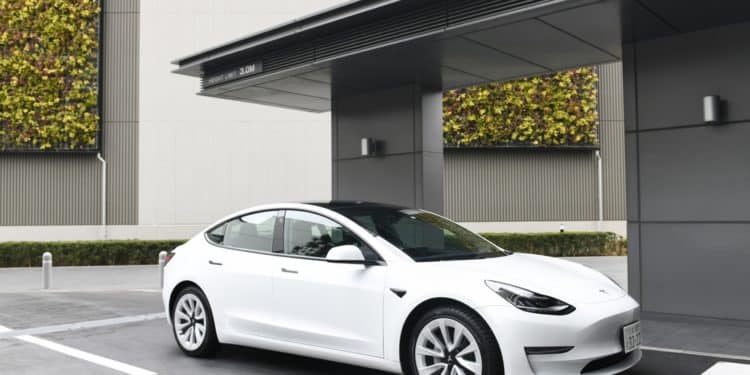 Tesla slashes prices up to 20% in broad bid to boost sales