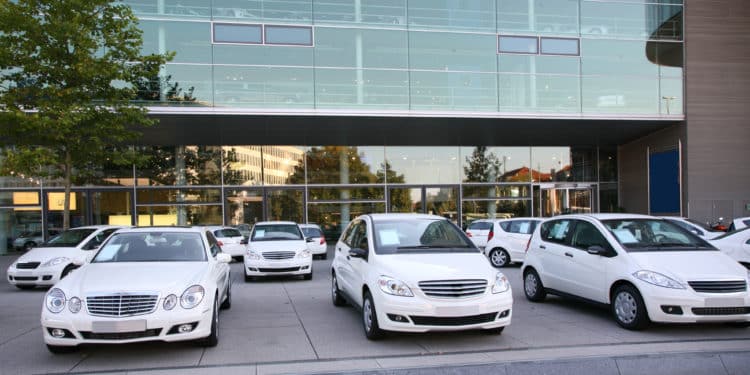 Cars on dealer lot