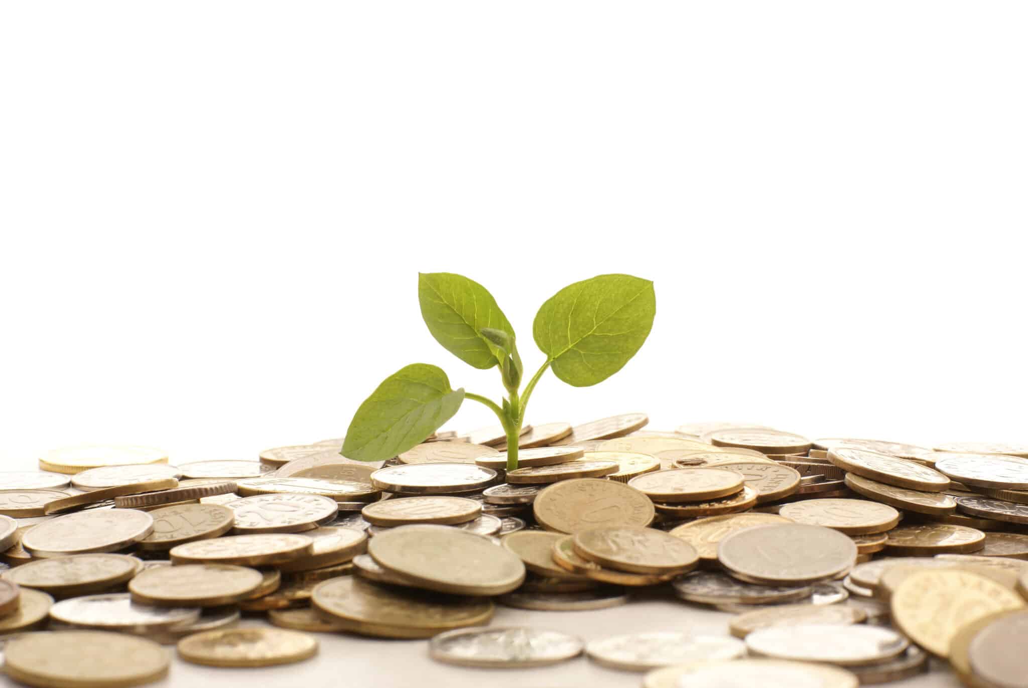 Ford Credit, GM Financial, HCA prep prime ABS deals Auto Finance News