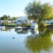 RVs and marine vehicles at an outdoor recreational area.