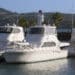 A few boats on a dock