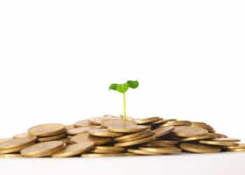 Green plant growing from the coins