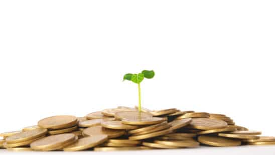 Green plant growing from the coins