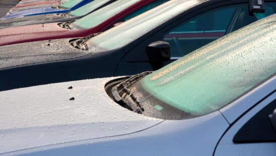 Cars on a dealer lot with dew on the windshield