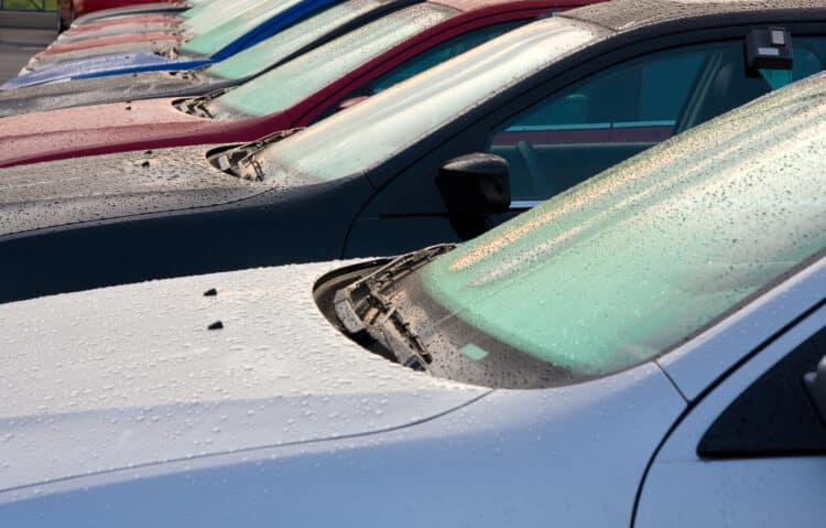 Cars on a dealer lot with dew on the windshield