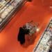 A shopper at a grocery store. Photographer: Cole Burston/Bloomberg