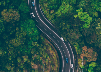 cars driving on winding road in a forest