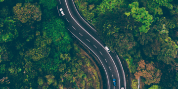 cars driving on winding road in a forest