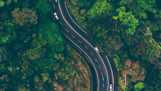 cars driving on winding road in a forest