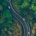 cars driving on winding road in a forest