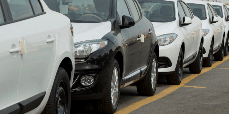 Cars lined up to be shipped