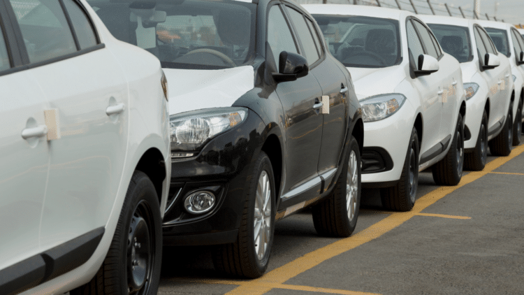 Cars lined up to be shipped