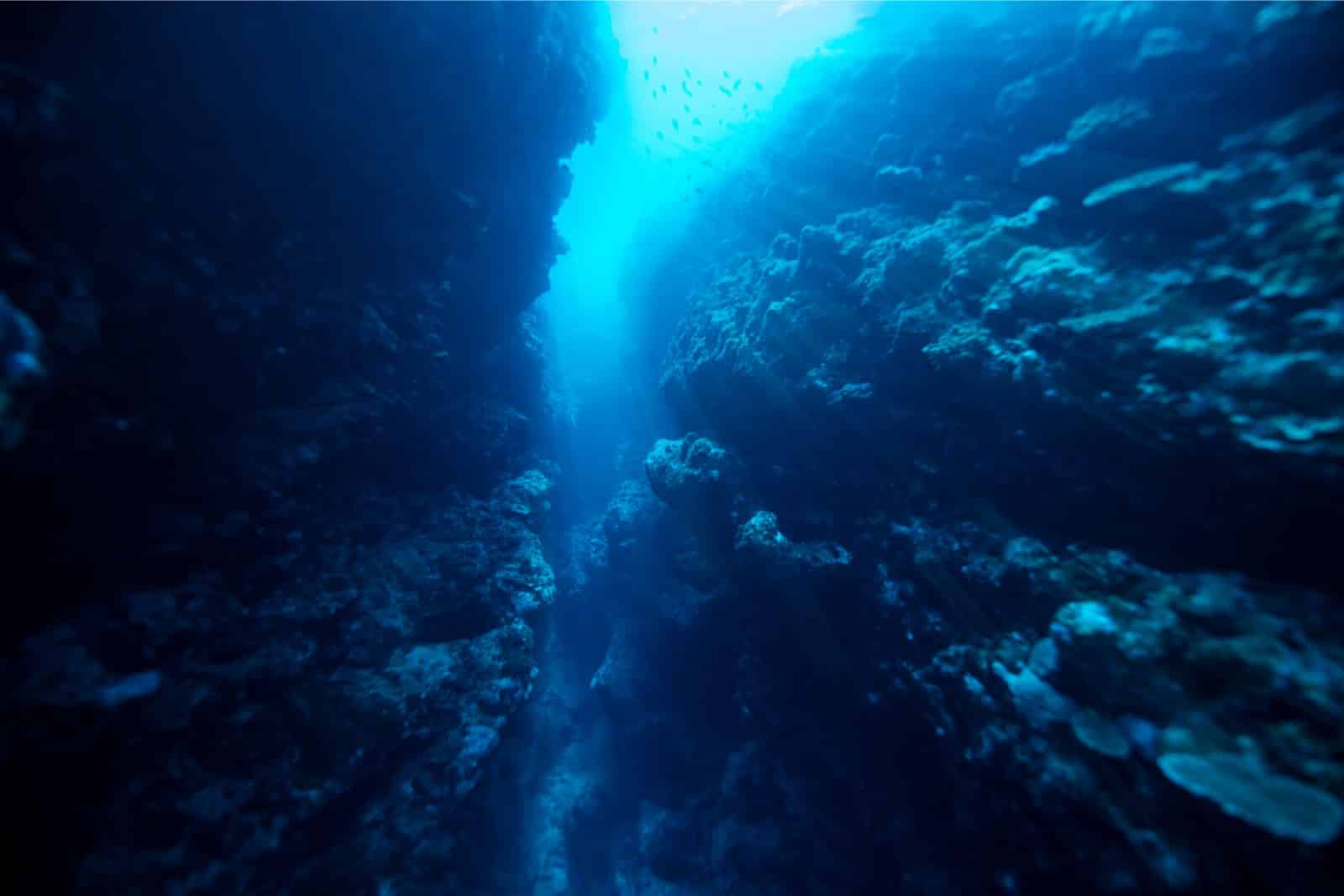 deep ocean water coral reef