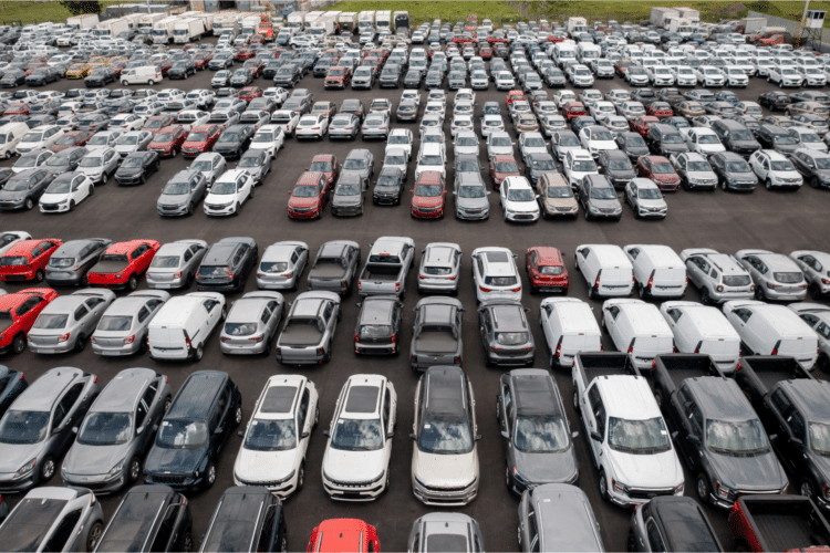dealership lot filled with vehicles