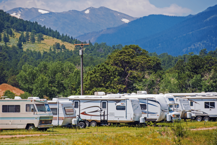 RVs lined up in a park in front of a mountain range