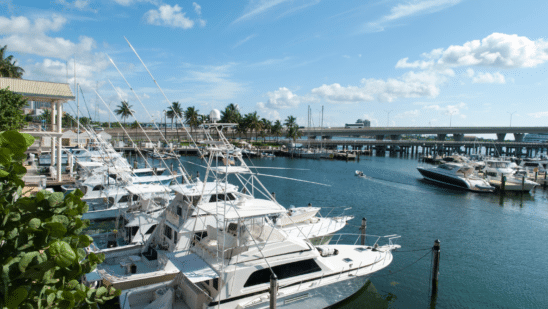 Boats parked in a harbor