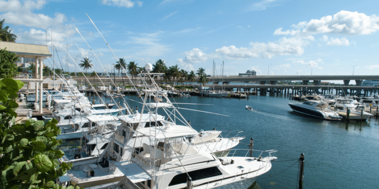 Boats parked in a harbor