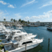 Boats parked in a harbor