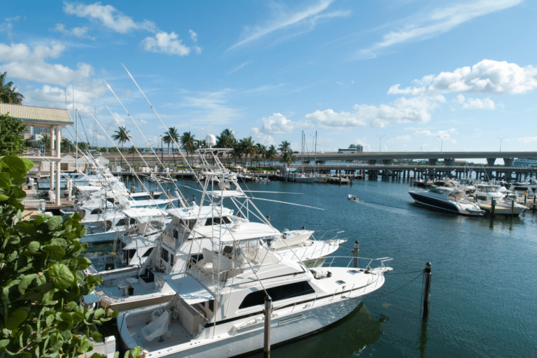 Boats parked in a harbor