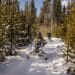 While a gas-burning sled is about as loud as a tractor-trailer, BRPs battery-powered Ski-Doos sound more like box fans.
