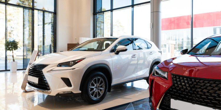 Cars in a dealership showroom