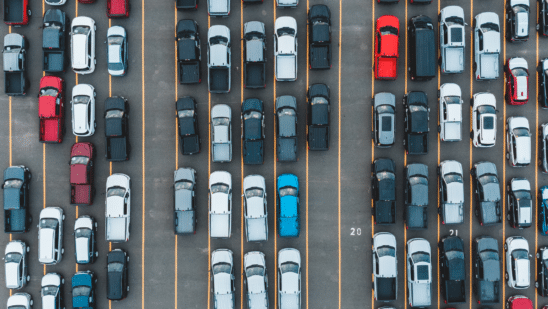 Cars lined up on the auction lot