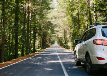 Car driving down the road in a forest