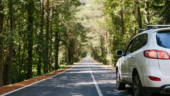 Car driving down the road in a forest