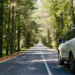 Car driving down the road in a forest