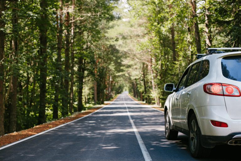 Car driving down the road in a forest