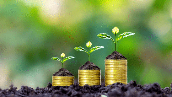 financial growth concept coins and growing plants