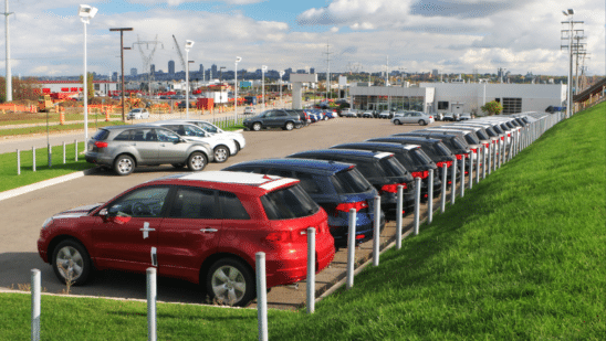 Against all odds: Auto market holds steady 