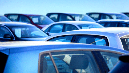 used vehicles on lot blue tinge