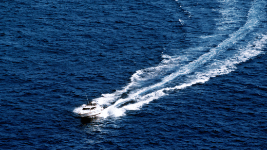 MarineMax F&I revenue up 8.2% amid declining boat margins