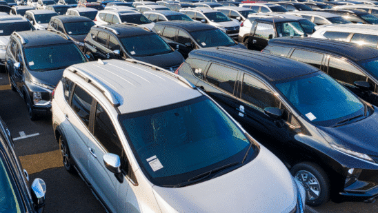 cars on dealer lot
